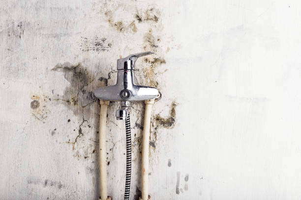 Water Damage Restoration in New Haven, MI