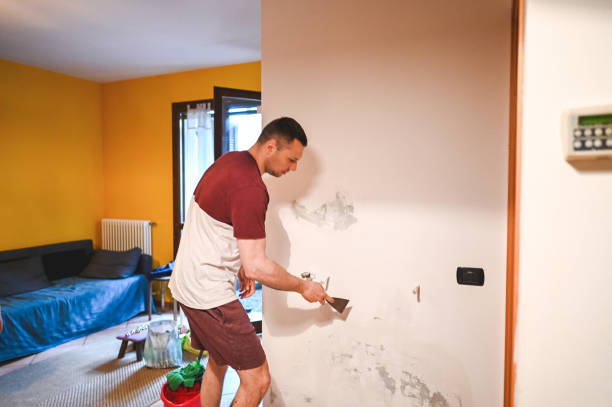 Best Best Mold Removal Companies  in New Haven, MI